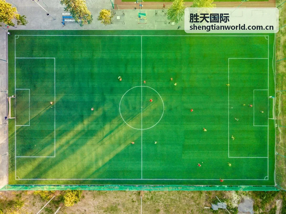 胜天国际亚太业务协同